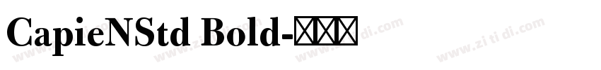 CapieNStd Bold字体转换